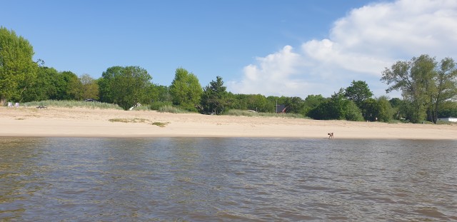 Weserinsel Harriersand
